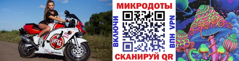 Галлюциногенные грибы Cubensis Богородск